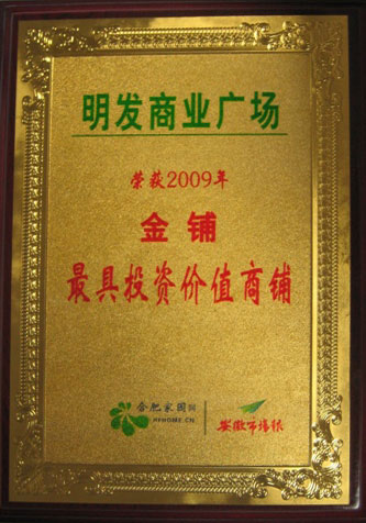 Shop with Highest Investment Value in 2009
